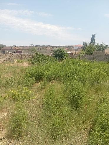 nardaranda: 13 sot, Tikinti, Mülkiyyətçi, Kupça (Çıxarış) — 5