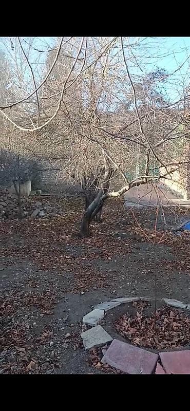 torpaq lenkeran: Kənd təsərrüfatı, Makler, Kupça (Çıxarış) — 4