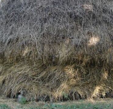 Atlar: Yemlər — 1