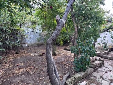 продажа недвижимости в баку: 5 комнат, 210 м², Средний ремонт — 17