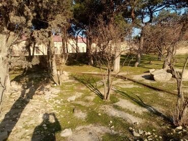 xacmazda dasinmaz əmlak: 15 sot, Mülkiyyətçi, Bələdiyyə — 2