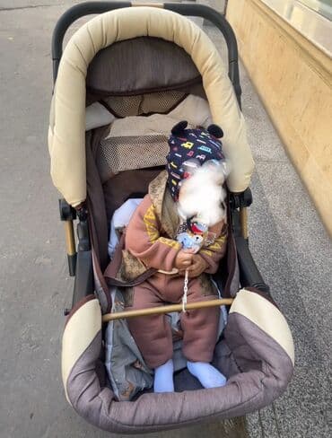 Volkswagen: Коляска-люлька несъемная — 1