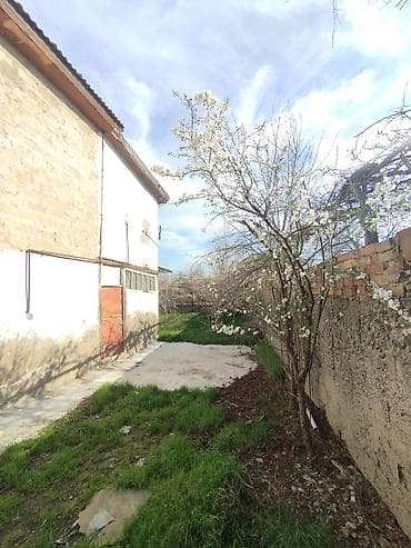 ucuz heyet evi: Ikimərtəbəli həyət evi və geniş torpaq sahəsi 6 sot 1 sot 120.000 — 5