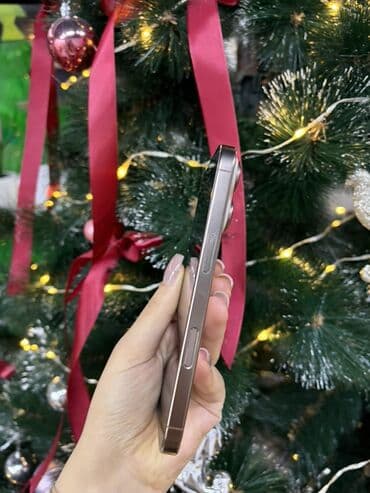 Фото и видеокамеры: IPhone 15 Pro, Natural Titanium, Face ID — 2