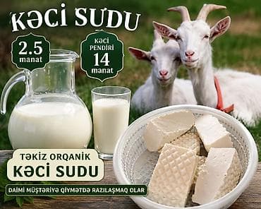 su samuru: Təmiz orqanik keçi məhsulları - Keçi südü – 1.5 manat - Keçi pendiri — 3