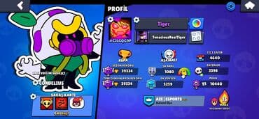 Brawl Stars hesabı – “Tiger” - Klub: AZE | ESPORTS (kıdemli üzv) - lalafo.az -da Brawl Stars hesabı – “Tiger” - Klub: AZE | ESPORTS (kıdemli üzv) -
