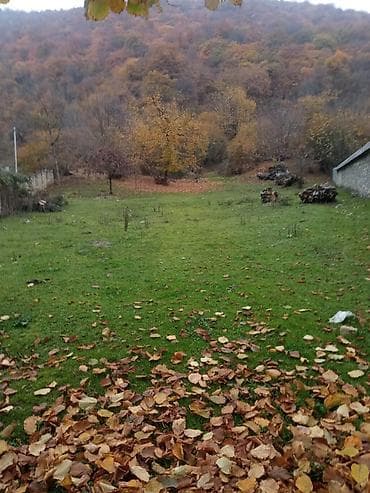 сад: 12 соток, Для строительства, Собственник, Купчая — 2