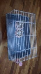 клетка для собак: Gəmiricilər üçün qəfəs dəsti - Material: möhkəm metal barmaqlıq və — 2