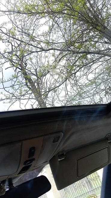 mercedes sprinter satilir: Mercedes-Benz E 230: 2.3 l | Sedan — 7