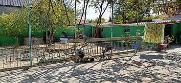 domik evler: PAKET KUPÇALI həyət evi satılır. ev 5 sotun içindədi ətraflı məlumat — 4