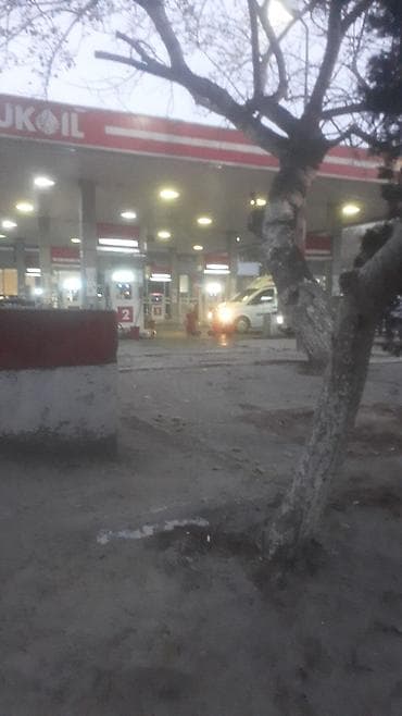 memar ecemide satilan evler: 23 sot, Maklerlər narahat etməsin, Kupça (Çıxarış) — 1