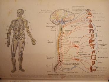 elmi kitablar: Populyarnaya Meditsinskaya Entsiklopediya (rus dilində) очень много — 3