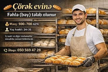 binə corək zavodu vakansiya: Vakansiyalar - Çörək evinə fəhlə (bəy) tələb olunur - Maaş: 500–700 — 1