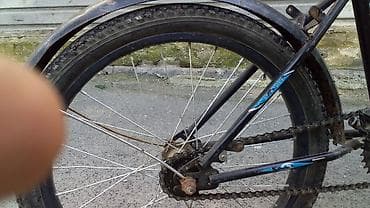 velosiped 29 luq: Övladınızın yay günlərini aktiv və maraqlı keçirməsini istəyirsiniszə — 6