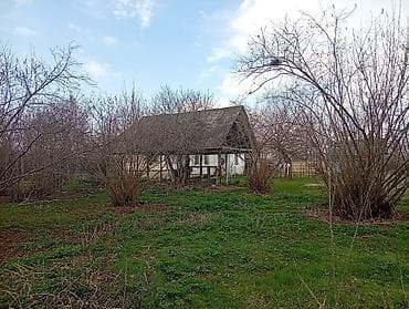 torpax: Tikinti — 8