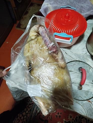 Hazir temizlenmis qaz