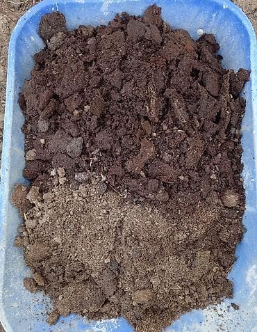 toyuq peyini: Qiymət razılaşma yolu ilə — 1