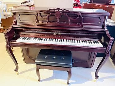 pa3x pro: PIANO AKUSTIK. Royal Musiqi Alətleri salonu sizlərə geniş çeşiddə — 1