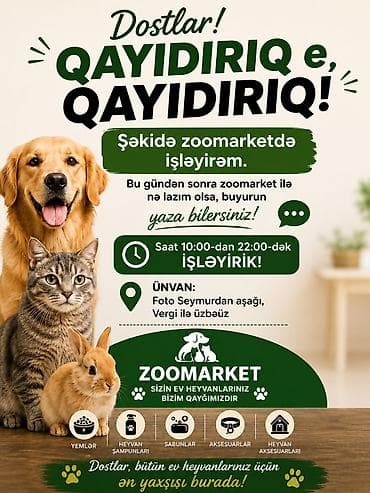 Heyvanlar: ZOOMARKET – Ev heyvanlarının baxımı, qrominq və baytarlıq xidmətləri — 4