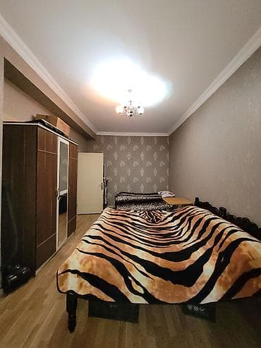 semkirde ev: 3 otaqlı, Yeni tikili, 103 kv. m — 3