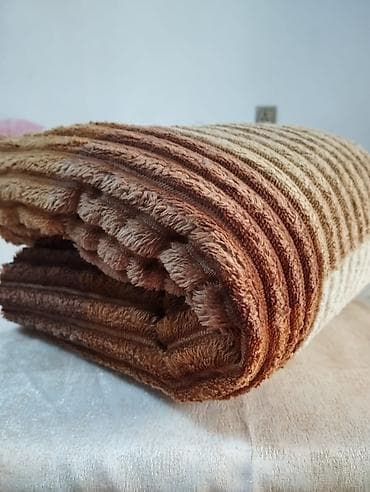 Комнатные растения: Edyal — 1