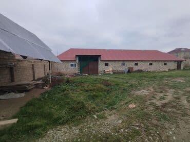 sekide tecili satilan evler sekide satilan ev ve torpaq: Ferma/təsərrüfat sahəsi40 baş iri buynuzlu heyvan saxlanılması üçün — 1