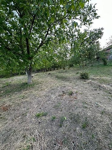 qəbələdə torpaq qiymətləri: 22 sot, Mülkiyyətçi, Bələdiyyə — 9