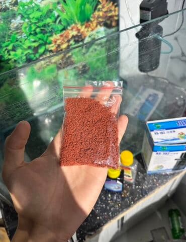 купить аквариум в баку: Salam Akvarium yenidir Şəkildə gördüyünüz aparatları üzərində hədiyə — 6