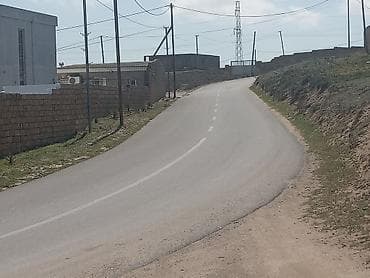 merdekan torpaq: Tikinti — 2