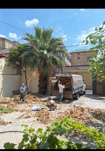 5 sot, Biznes üçün, Makler, Kupça (Çıxarış)