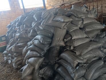 Torf gubresi 300den cox alana catrlma pulsuz ededle 2.50 satrq cox