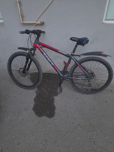 qalin tekerli velosiped: Dağ velosipedi Saft, 26" — 1