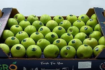 Azərbaycan alması alışı — Granny Smith və Golden sortları Şirkətimiz