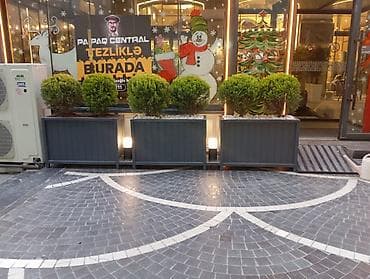 corelli: Papaq Central – Tezliklə burada! - Yeni konseptli ictimai iaşə məkanı — 3