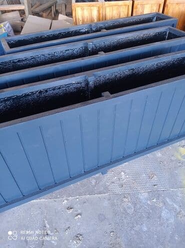 dibçek gulleri: Dibçək güldanlar. Dipçəklər bir başa sexdən.Sex qiymətinə. ♦️Endrim — 6