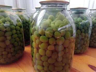 salat: Məhsul: Yeni tutulma duzlu yaşıl zeytun – 3 litrlik şüşə bankalarda — 4