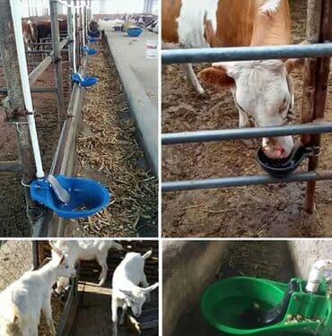 keci satışı: Yem qabı, Su üçün, Heyvanlar üçün, Ünvandan götürmə, Pulsuz çatdırılma, Ödənişli çatdırılma — 1