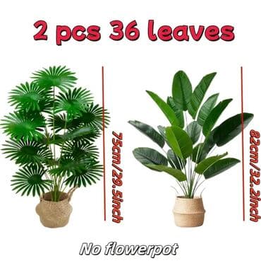 dekarativ guller: 🌸 İstədiyiniz dibçəyi, istədiyiniz ölçüdə yığırıq! 🏡 Evlər, ofislər — 7