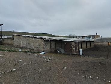 3 otaqlı mənzillərin satışı: Ferma kompleksi – mal-qara saxlanışı üçün hazır infrastruktur - Geniş — 5