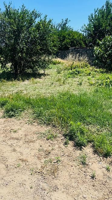 Daşınmaz əmlak: 12 sot, Tikinti, Kupça (Çıxarış) — 4