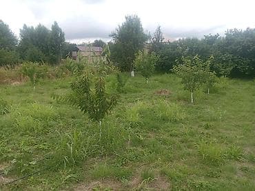 10 sot, Kənd təsərrüfatı, Mülkiyyətçi, Kupça (Çıxarış) lalafo.az -da 10 sot, Kənd təsərrüfatı, Mülkiyyətçi, Kupça (Çıxarış)