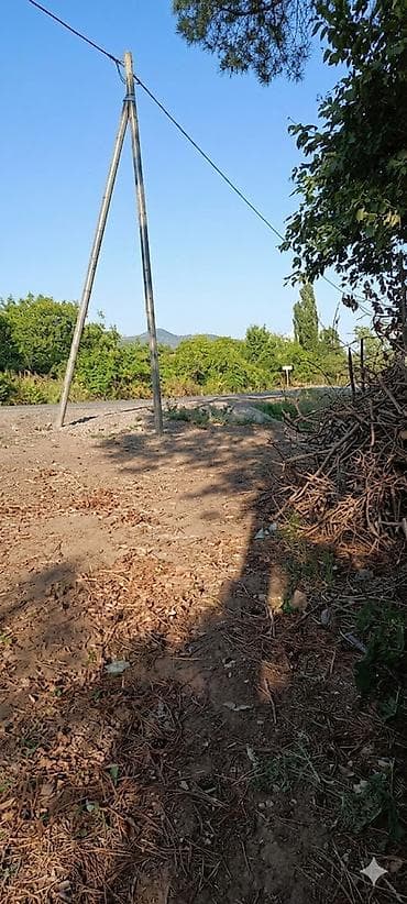 bulbulede torpaq: 50 sot, Tikinti, Mülkiyyətçi, Kupça (Çıxarış) — 5