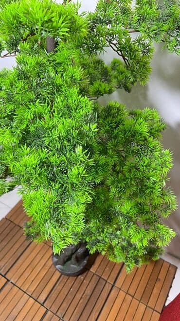 budda: Süni bonsai ağacı – dekorativ içməkan yaşıllaşdırma üçün - Realistik — 24