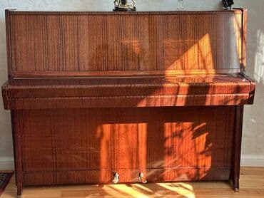 Fleytalar: Piano, Petrof, Akustik — 1