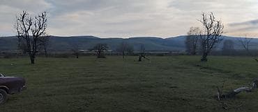 kurdaxanida heyet evleri: Kənd təsərrüfatı — 10