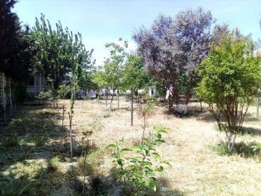 turkanda heyet evleri: 5 otaqlı, 200 kv. m — 17