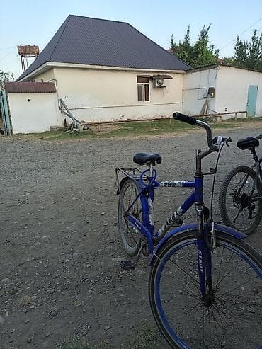velosiped mağazası: Şəhər və kənd yolları üçün praktiki velosiped - Rəng: mavi-ağ - — 1