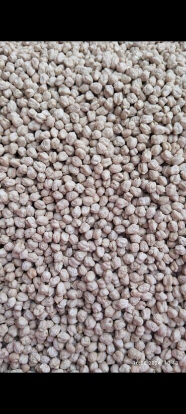 duz corek: Məhsul: Ağ noxud (quru) Təsvir: - Dənlər iri, bərabər ölçülü və açıq — 3