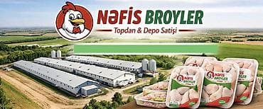 mal əti: Digər brend Toyuq Bütöv, Topdan — 1