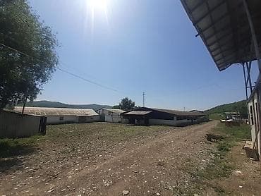 xırdalan kup: Hazır Biznes istəyənlər ücün Ferma satılır İsmayilli rayon erazisinde — 3